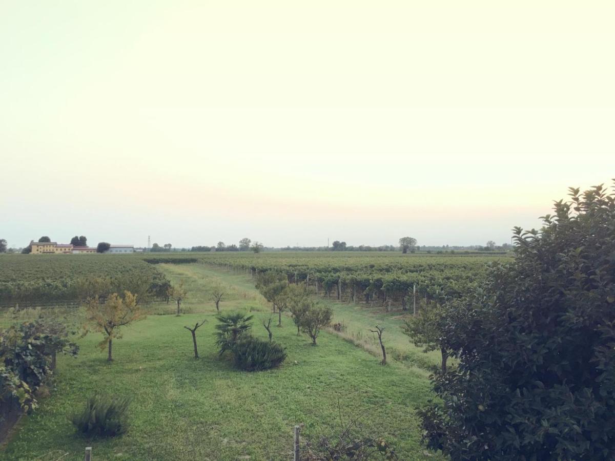 Villa Sofia Pramaggiore Екстериор снимка
