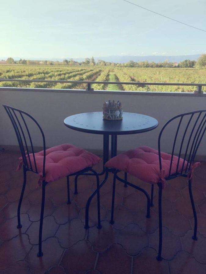Villa Sofia Pramaggiore Екстериор снимка